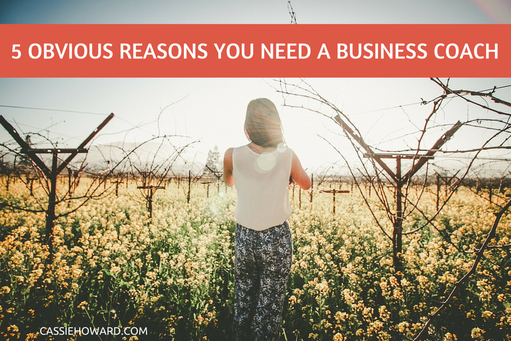5 Obvious Reasons You Need a Business Coach